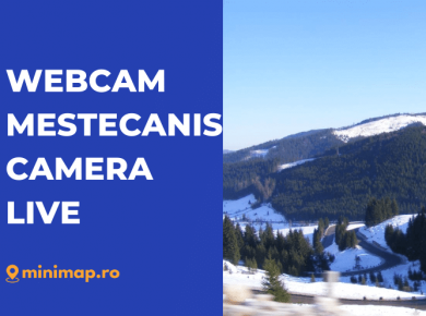 webcam mestecanis live